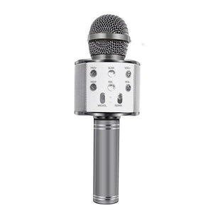 Silver Microphone